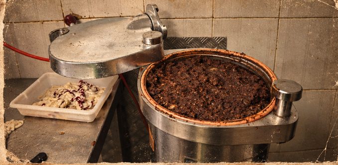 Masa de morcilla de Macotera en la embutidora